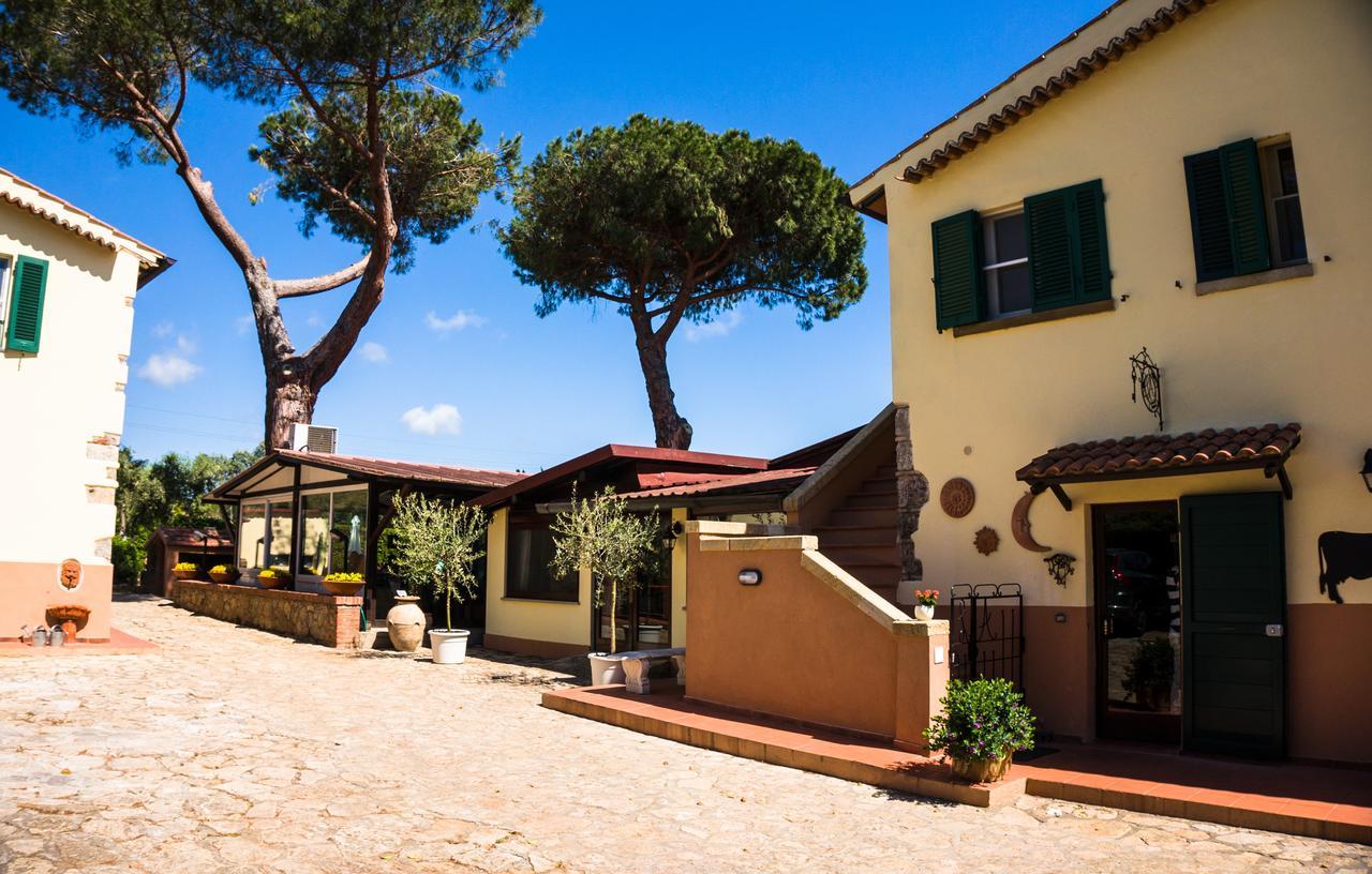 Di Ansedonia - Ristorante Grigl